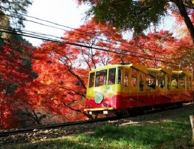 【關東楓物語】迪士尼．童話合掌村．河口湖紅葉祭．銀杏隧道．天上山．溫泉5天